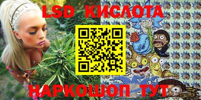 apvp Бийск