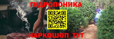 сатива Беслан