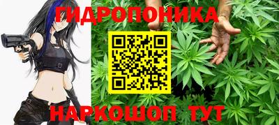 apvp Бийск
