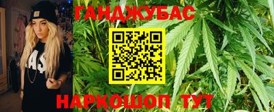 сатива Беслан