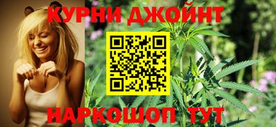 apvp Бийск