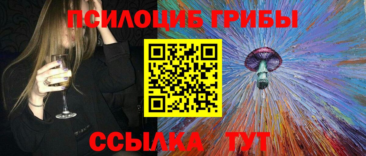 Псилоцибиновые грибы Cubensis  купить   Заволжье  Вход с VPN 