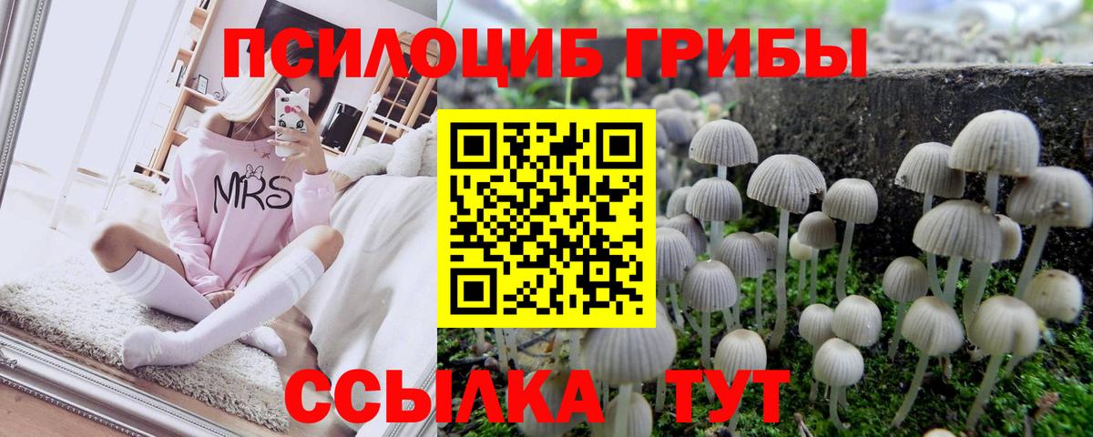 Псилоцибиновые грибы Magic Shrooms Заволжье